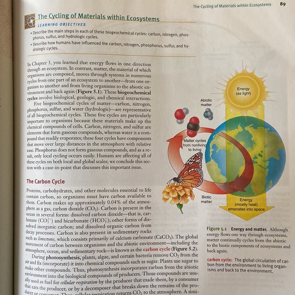 ENVIRONMENT • 6th Edition • Raven, Berg, and Hassenzahl - Picture 2 of 3